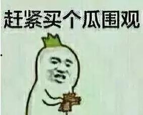 吃瓜群众永远吃瓜的句子,吃瓜群众永恒的瓜田之旅