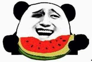 军演的吃瓜群众是真的吗,吃瓜群众的真实写照