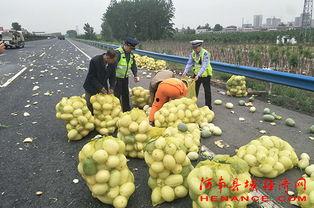 芙蓉街吃瓜群众,人潮涌动的吃瓜群众现场直击