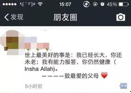 吃瓜群众中枪原版,揭秘网络谣言背后的真相