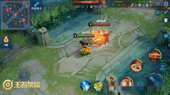 王者吃瓜群众是s几,揭秘S级神秘身份之谜