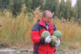 清水镇的吃瓜群众是什么,吃瓜群众的热议焦点