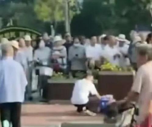 内丘吃瓜群众事件视频,一场网络舆论的风暴与反思