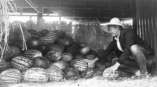 吃瓜群众岱岱广西往事,揭秘广西往事的幕后故事