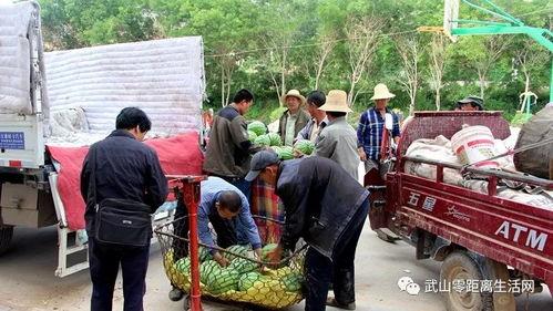 吃瓜群众岱岱广西往事,揭秘广西往事的幕后故事