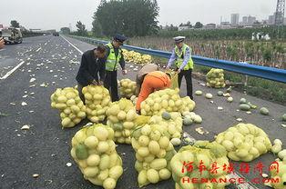 吃瓜群众玫瑰图片,玫瑰映照下的吃瓜群众众生相