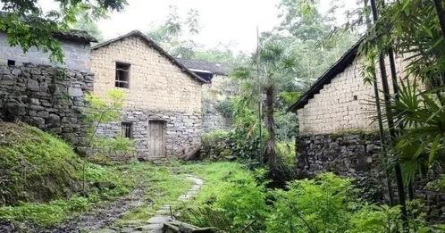 吃瓜群众小木屋图片大全,趣味图片大盘点