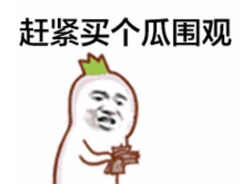 吃瓜群众委屈视频大全集,视频大全集温情回顾