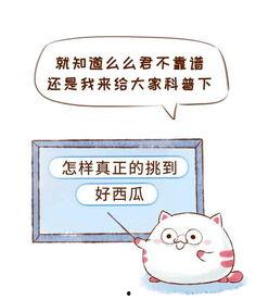 吃瓜群众住院是真的吗,吃瓜群众住院传闻真相揭秘