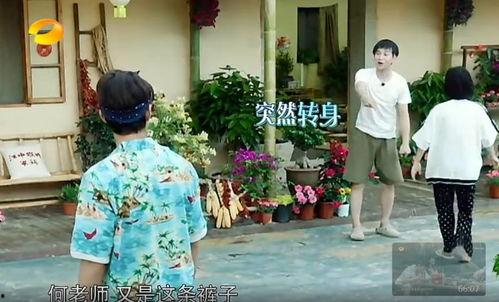 银川吃瓜群众事件真相,真相与反思