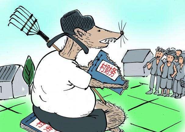 吃瓜群众调解雀儿打架,和谐共处展生态和谐