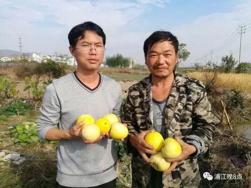 吃瓜群众漳浦,吃瓜群众眼中的魅力之城