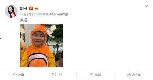 一下翻白眼吃瓜群众,揭秘网络时代的围观心态