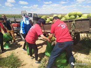 吃瓜群众杀人者