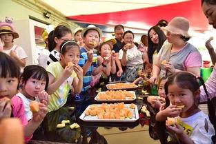 老外吃瓜群众准备好了吗,全球视角下的热点事件解读