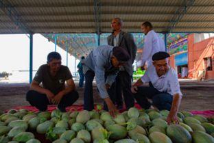 吃瓜群众感谢吃瓜群众,吃瓜群众致敬吃瓜群众