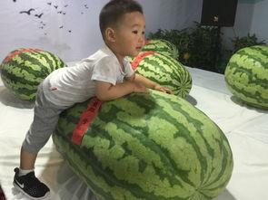 平度吃瓜群众事件最新