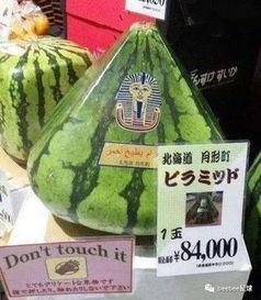 旁边全是吃瓜群众的人,吃瓜群众的人生百态